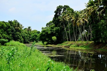 Rural Kerala - Free from pollution