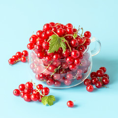 Ripe red berries of a currant in a glass transparent mug on a blue background. Selective focus.