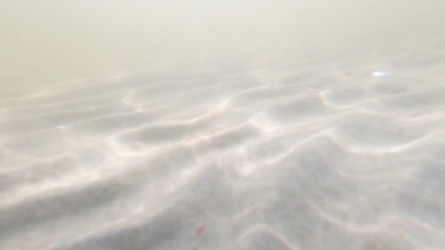 Bubbles rise from the sandy bottom. Slow motion