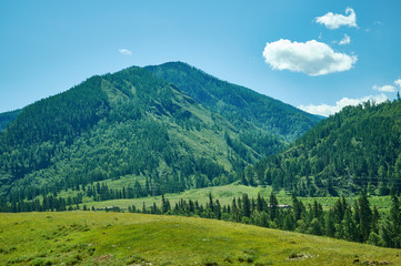 Fototapeta na wymiar Mountain Altai.