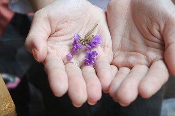 flower in hands