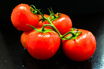 A branch of red tomato is isolating on a black background. close-up	