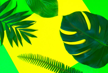 Fototapeta na wymiar Tropical leaves on a yellow background. Creative layout of real tropical leaves on a bright yellow background. Summer concept. Flat image with copy space.