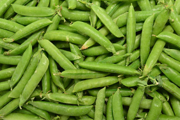 Fresh pea pods as background. Top view.