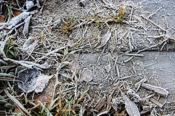 Frozen leaves and grass on wooden background