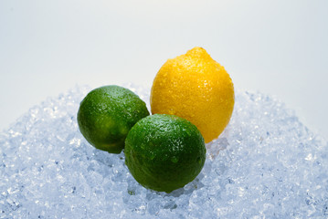 Lemon, lime and mint on ice.