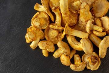 Raw wild chanterelles mushrooms on old rustic background. Organic Fresh chanterelle background on a table. Border design