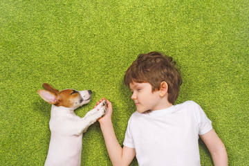 Cute child embracing puppy jack russell. High top view.
