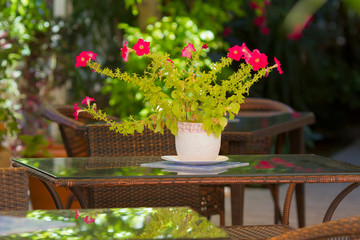Bouquet of petunias on a glass table in the summer garden