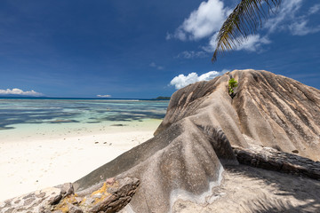 Strand Anse Source D'Argent mit Granitfelsen weisser Sand und Kokospalmenblatt auf der Seychellen...