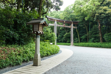 (東京都ｰ都市風景)新緑の中の明治神宮二の鳥居１
