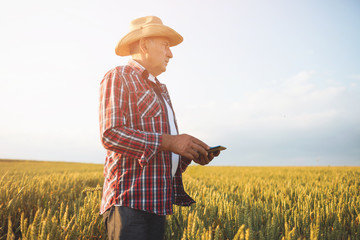 Naklejka na ściany i meble Farmers with tablet in a wheat field. Smart farming