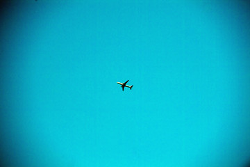 飛行機