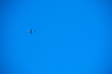 飛行機
