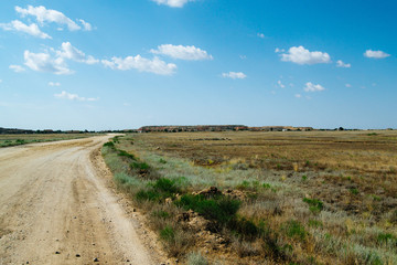 Steppe landscape. Lonely green plants on dry, hot sand