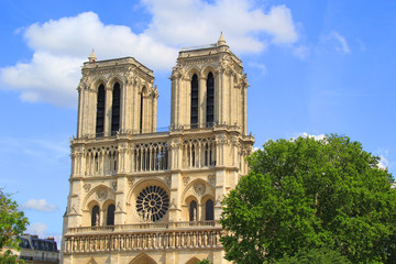 Fototapeta na wymiar Notre dame in Paris after Fire.