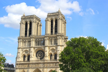 Fototapeta na wymiar Notre dame in Paris after Fire.