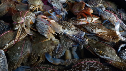 crabs on the market