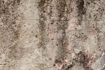 Texture of a concrete wall with cracks and scratches which can be used as a background