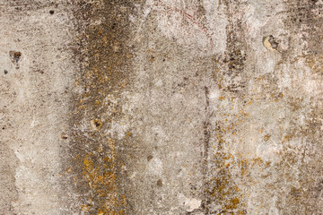 Texture of a concrete wall with cracks and scratches which can be used as a background