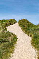 Looking up a pathway on a sand dune at the Oregon coast, on a sunny summers day