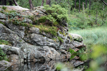 Норвегия Norway