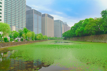 皇居周辺の風景(東京、日本)