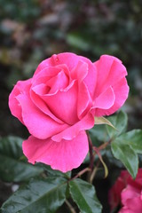 Норвегия Norway