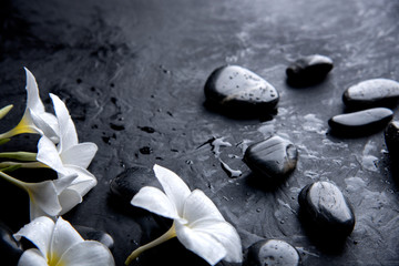 Fototapeta premium zen basalt stones with frangipani flower on dark table background