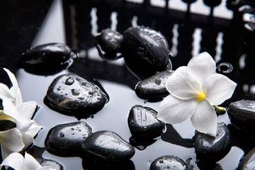 Fototapeta na wymiar zen basalt stones with frangipani flower on dark table background