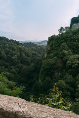 Popular tourist route in Yew-Boxwood Grove Big Circle in Caucasian biosphere reserve, Khosta district of Sochi, Russia.