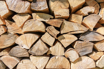 Fototapeta premium Picture of logs stacked on pile..