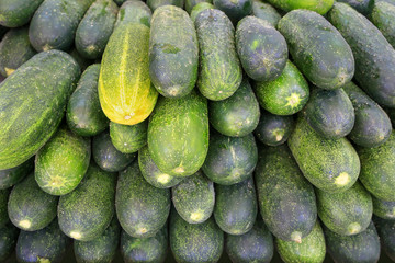 Many fresh green courgettes on market