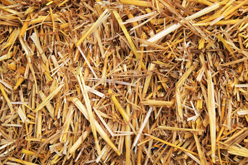 Dry straw background - Natural background