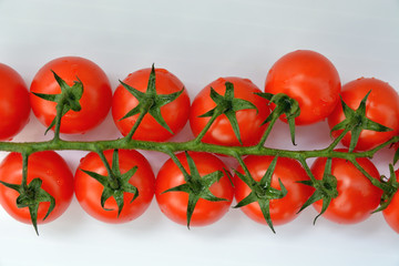Red cherry tomatoes on the branch. White background