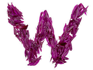 ABC, the alphabet of red, dark pink and green flower petals. alphabet of petals of peonies. letters...