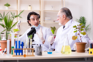 Two chemists working in the lab