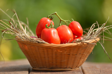 group of freshly picked cherry tomatoes, presented in a wicker basket