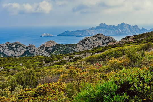 Nature in sout of france