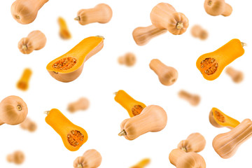 Falling pumpkin butternut squash isolated on white background, selective focus