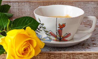 Yellow. Rose. Nature. Color. Aromatic. Coffee