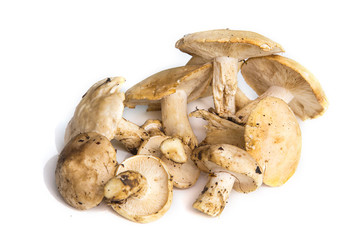 Champignons