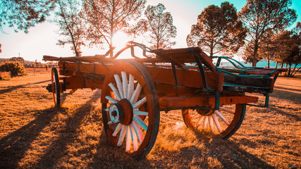 Fototapeta na wymiar An Old Horse-Drawn Wagon Made from Wood in a Field During Sunrise in South Africa