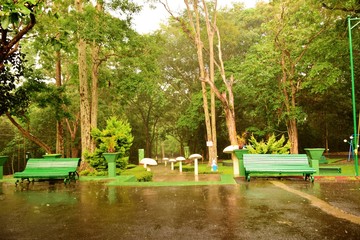 An abandoned resting area in the forest drenched in rain
