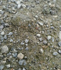 Stone textured