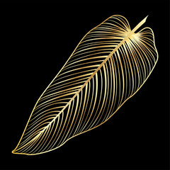 Tropical leaf palm isolated. Vector illustration. EPS 10