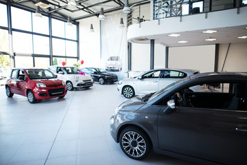 Plakat Car dealership showroom interior with brand new vehicles for sale.
