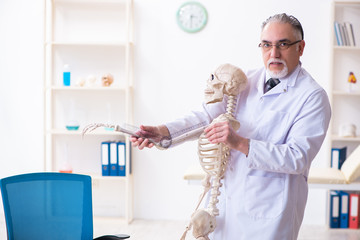Aged male doctor with skeleton 