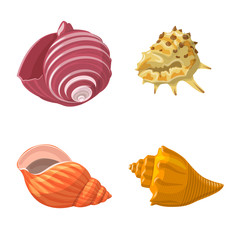 Vector design of seashell and mollusk sign. Set of seashell and seafood vector icon for stock.