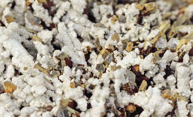 Quartz surrounded by Calcite